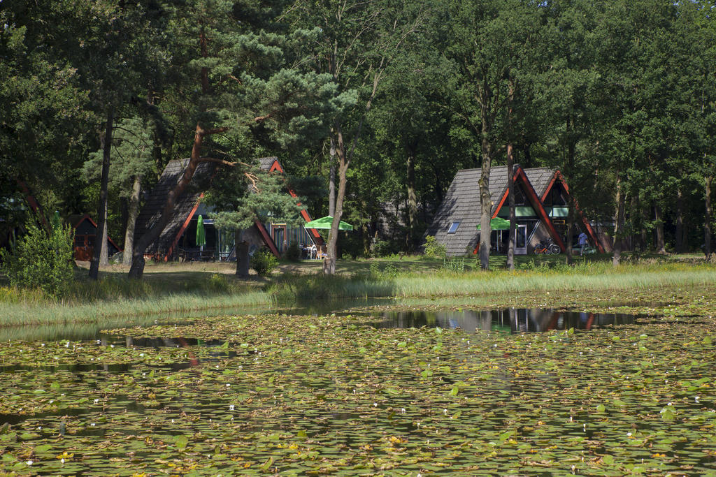 'T Vosseven Vakantiehuizen Stramproy Номер фото